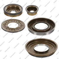 Комплект поршней (5шт., обрезиненные)