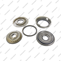 Комплект поршней (5шт., обрезиненные)