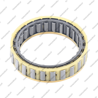 Обгонная муфта (71x55x16.6) Overdrive (1997-up, 24 сегмента, в пластиковой обойме)