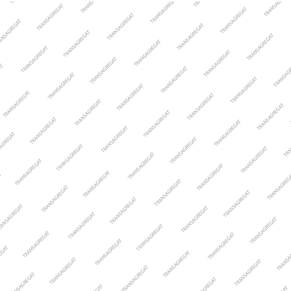 Фильтр основной (пластиковый)